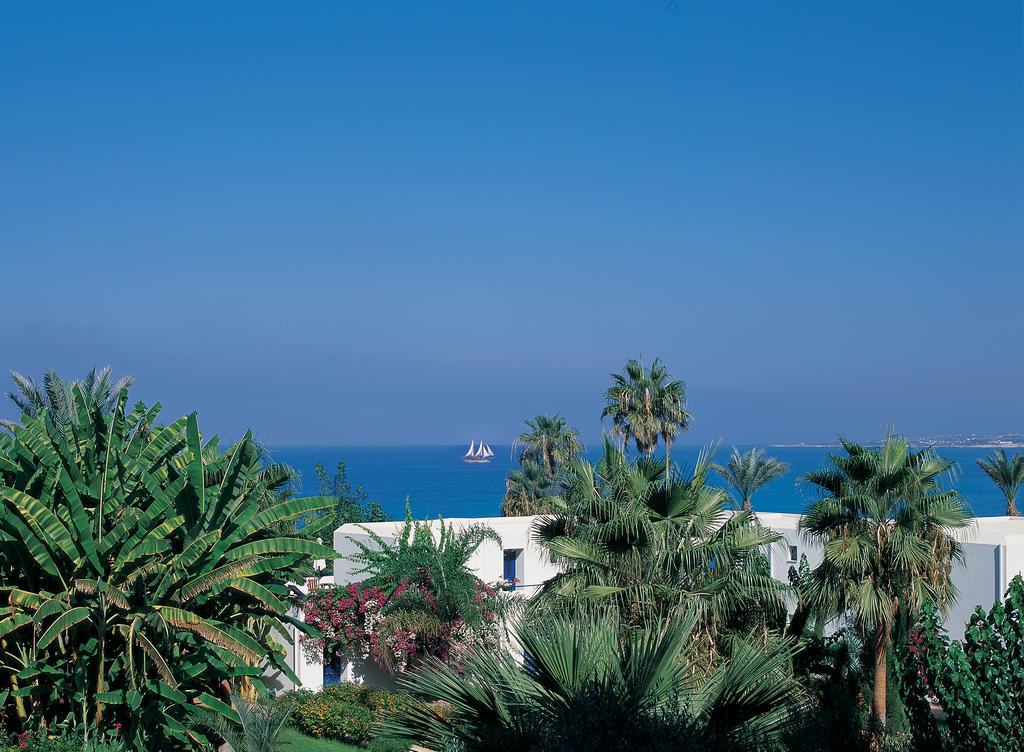 Azia & Pafos